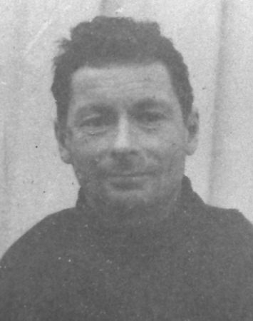 johannes larsen