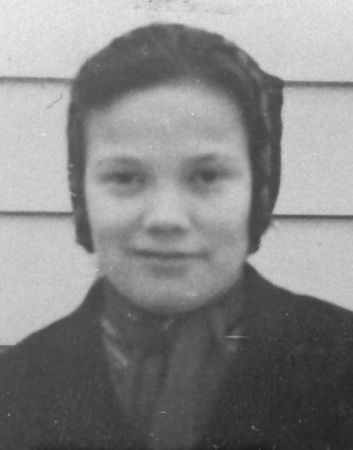 signe johnsen